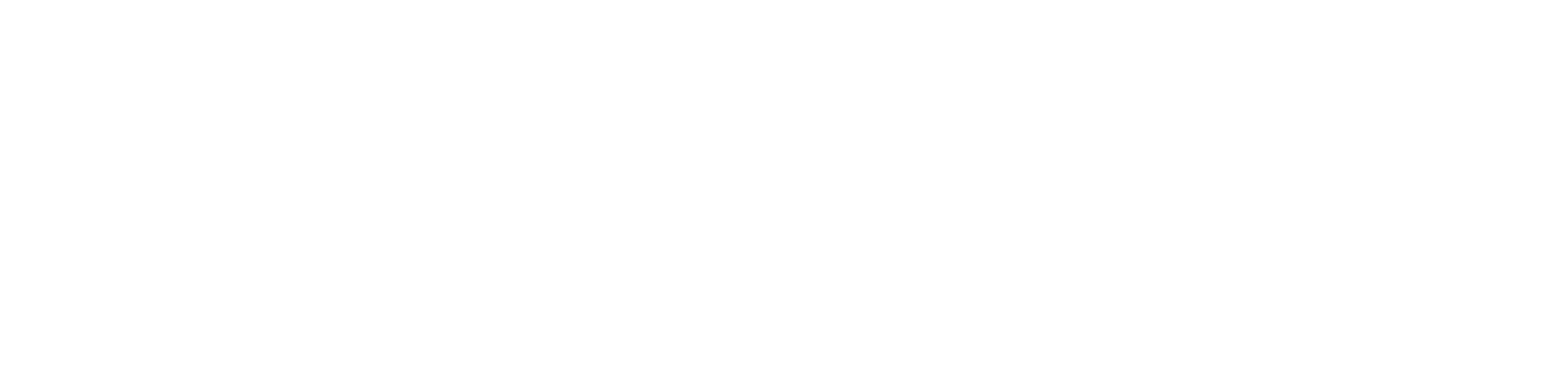 Steigen logo