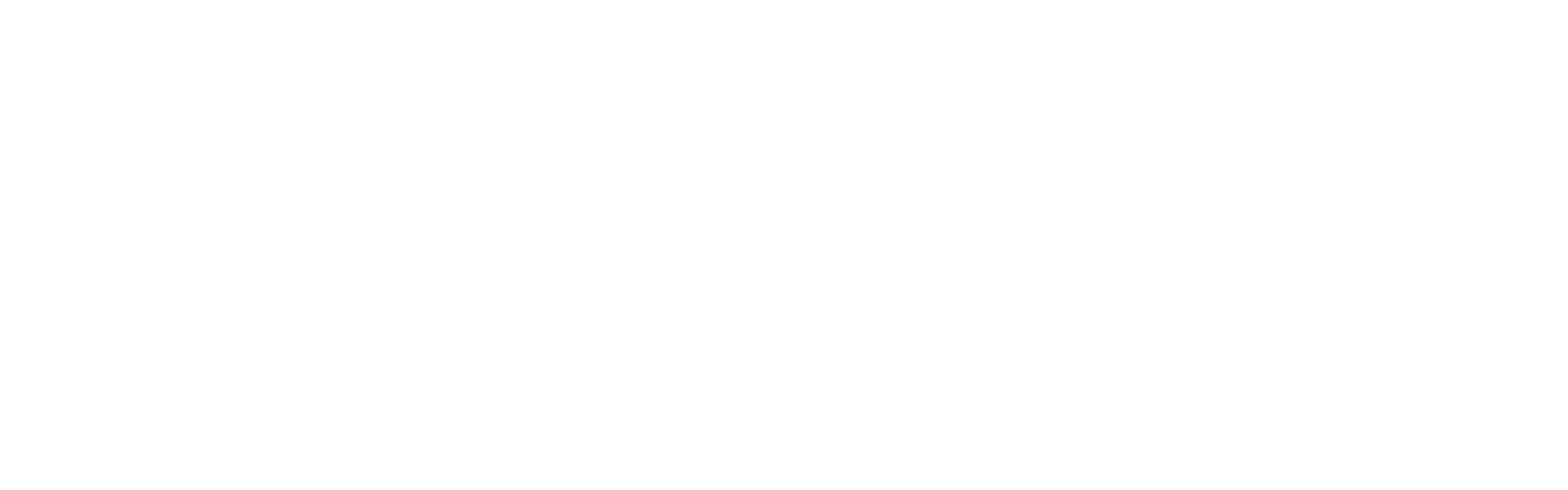 Steigen Solution logo