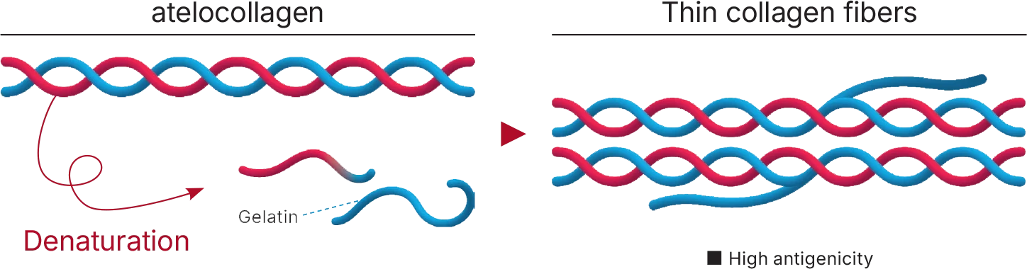 16/9 aspect ratio accessible description of the image