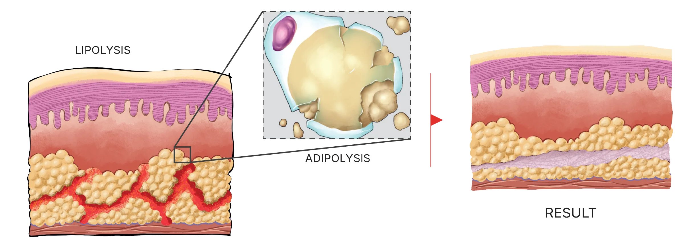 16/9 aspect ratio accessible description of the image