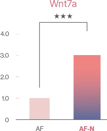 16/9 aspect ratio accessible description of the image